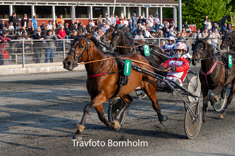 Boston med Mads Petersen 26 maJ 2026 Fotograf Torben Ager Travfoto Bornholm TKA 4244