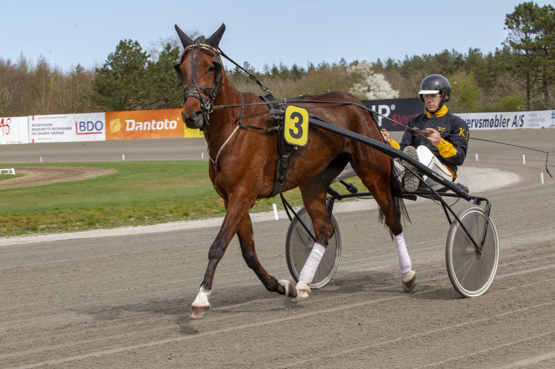 C95F1498 Chilli Torp Kenneth Jensen