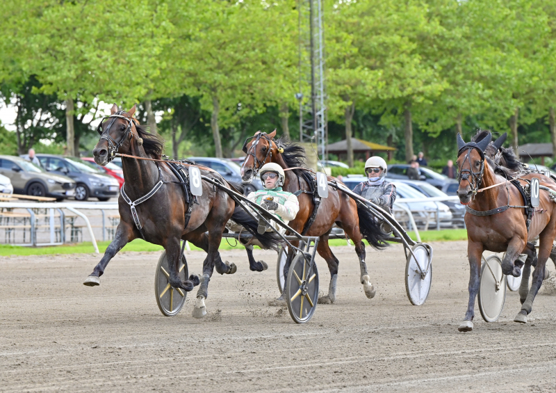 Kort nyt CAN_WIN_GARDENIA_DSC_8888