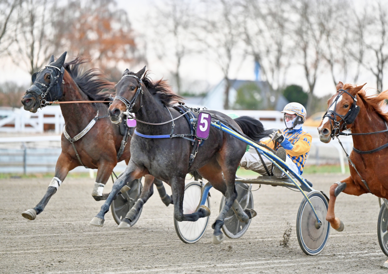 CRUZADO OSCURO DSC 4930