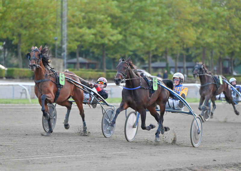 CRUZADO OSCURO DSC 9486