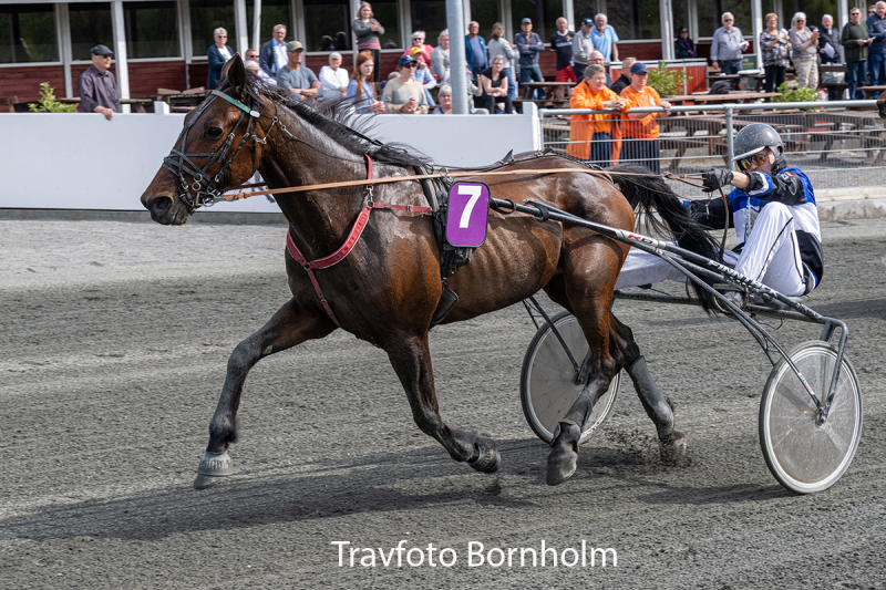 Can Tab med Oliver Gommans 3 maJ 2026 Fotograf Torben Ager Travfoto Bornholm TKA 1592