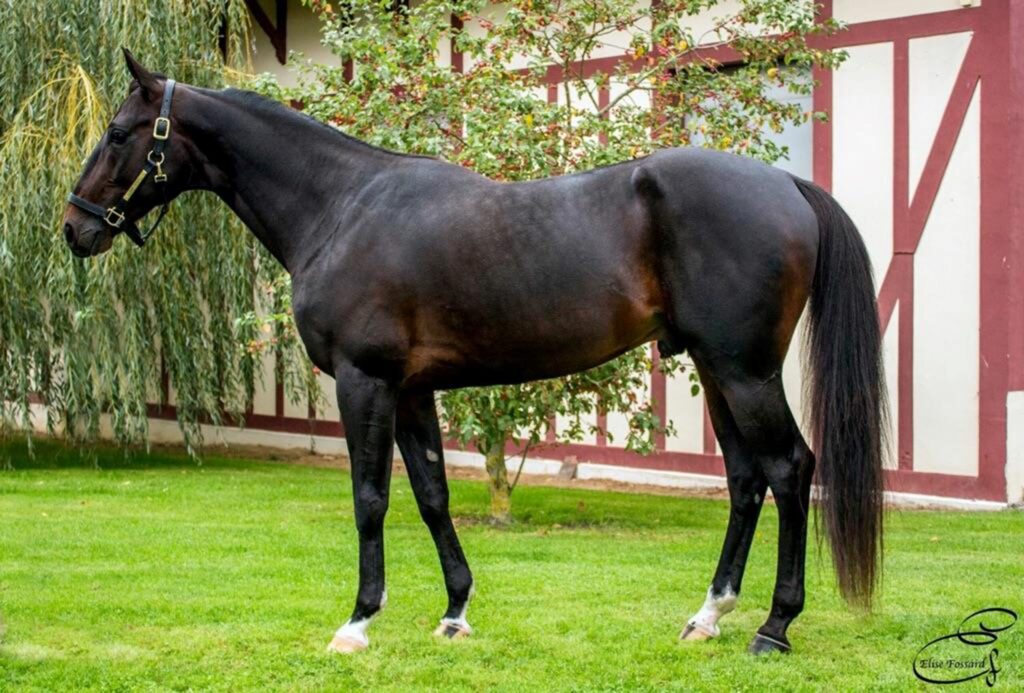 Cash Gamble scaled 1 1024x693 1