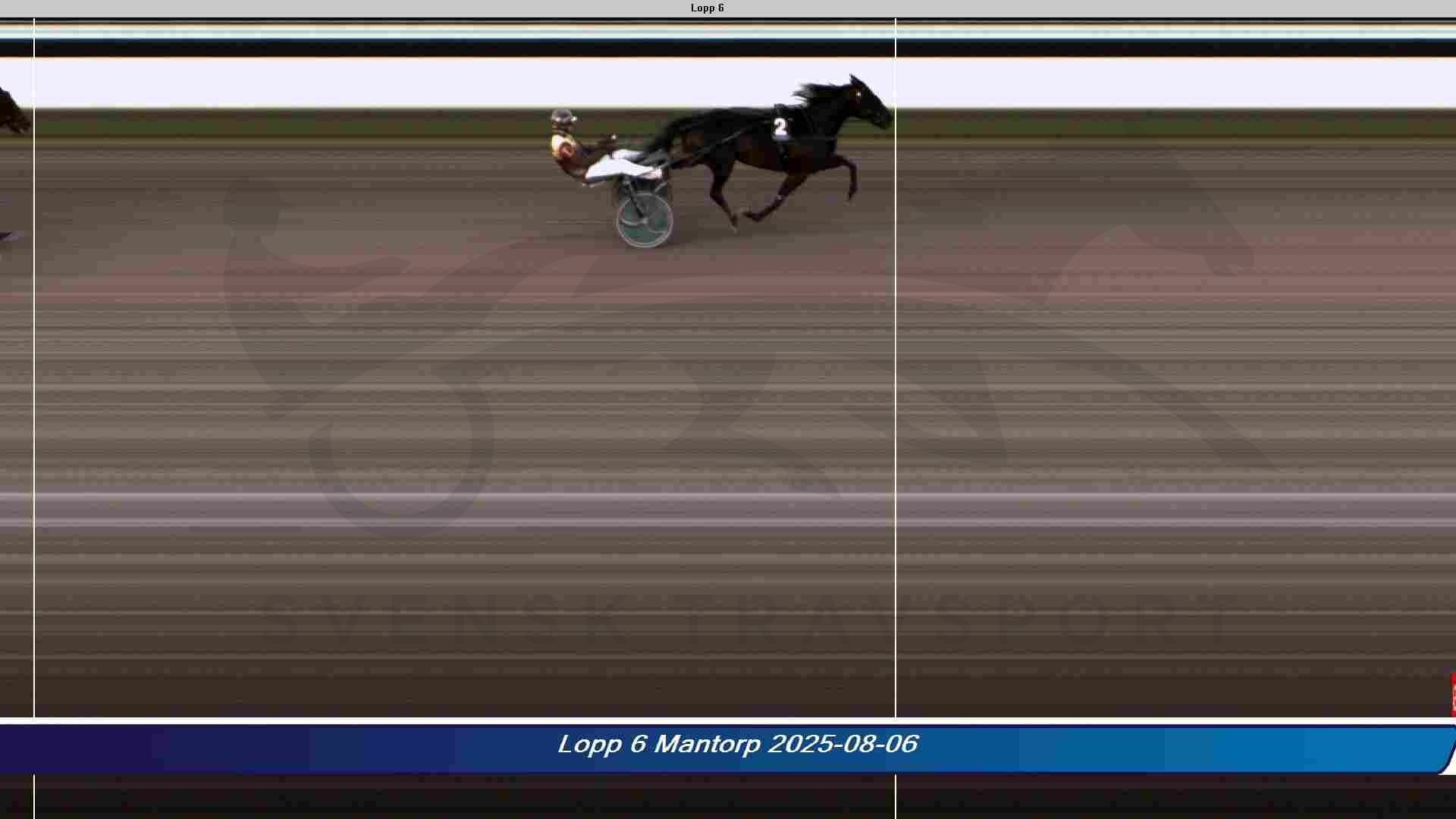 CastortheStar 250806