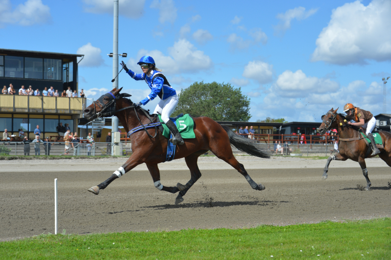 Caviar s Dream 250810