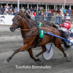 Cerosso_med_Niclas_Steinlain_16_juni_2026_Fotograf_Torben_Ager_Travfoto_Bornholm_TKA_5595