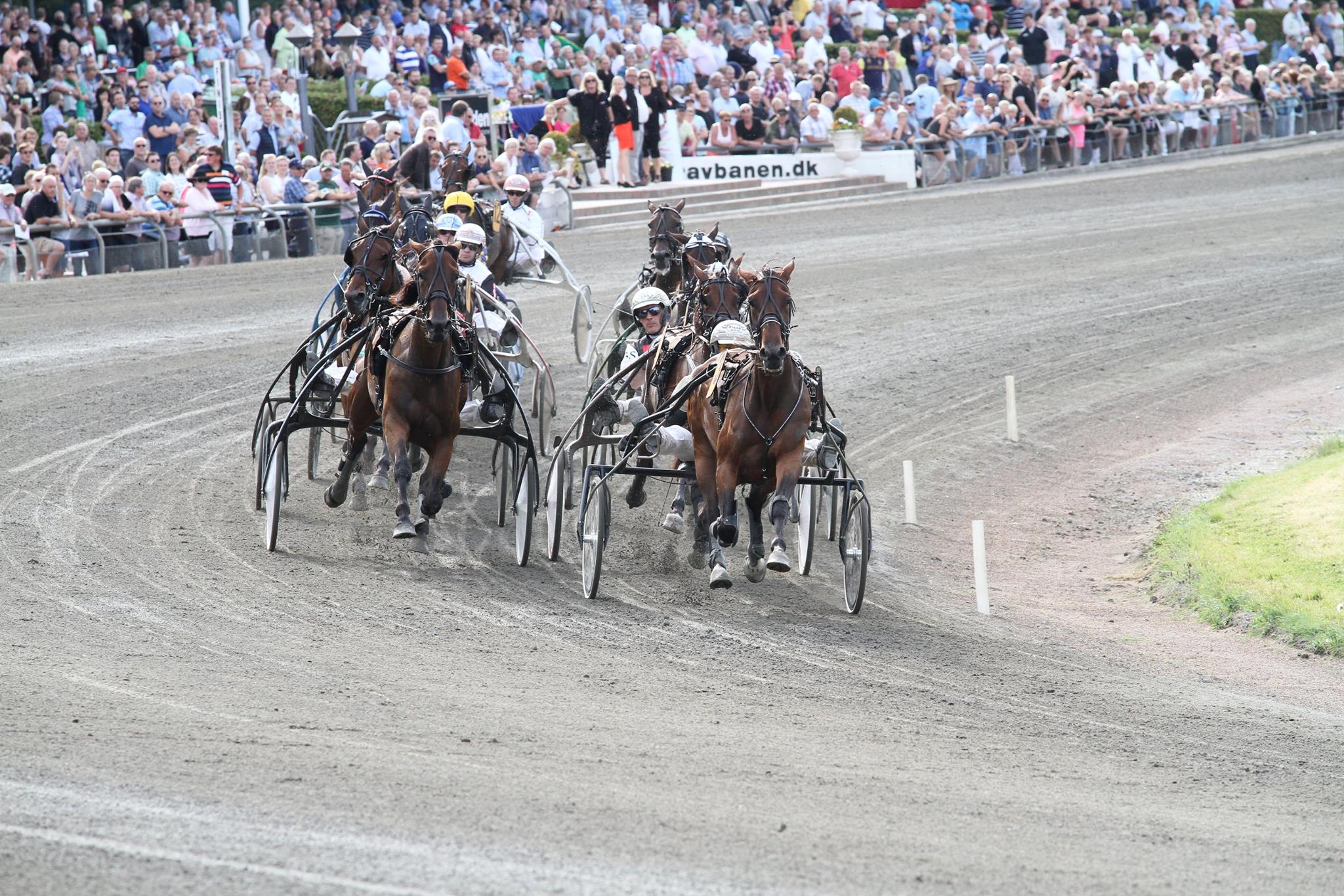 I dag afvikles der løb på Charlottenlund Travbane Charlottenlund-Travbane-10-1