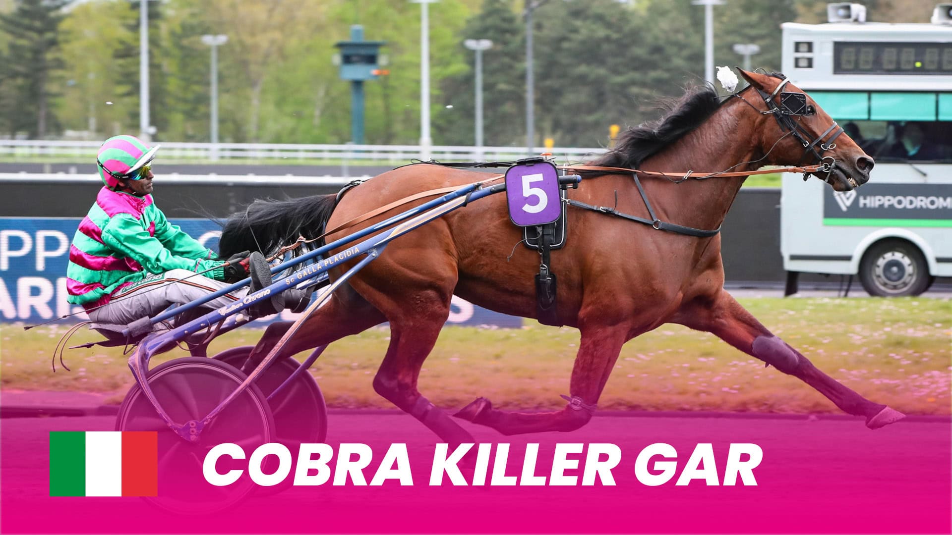 Cobra-Killer-Gar_1920x1080