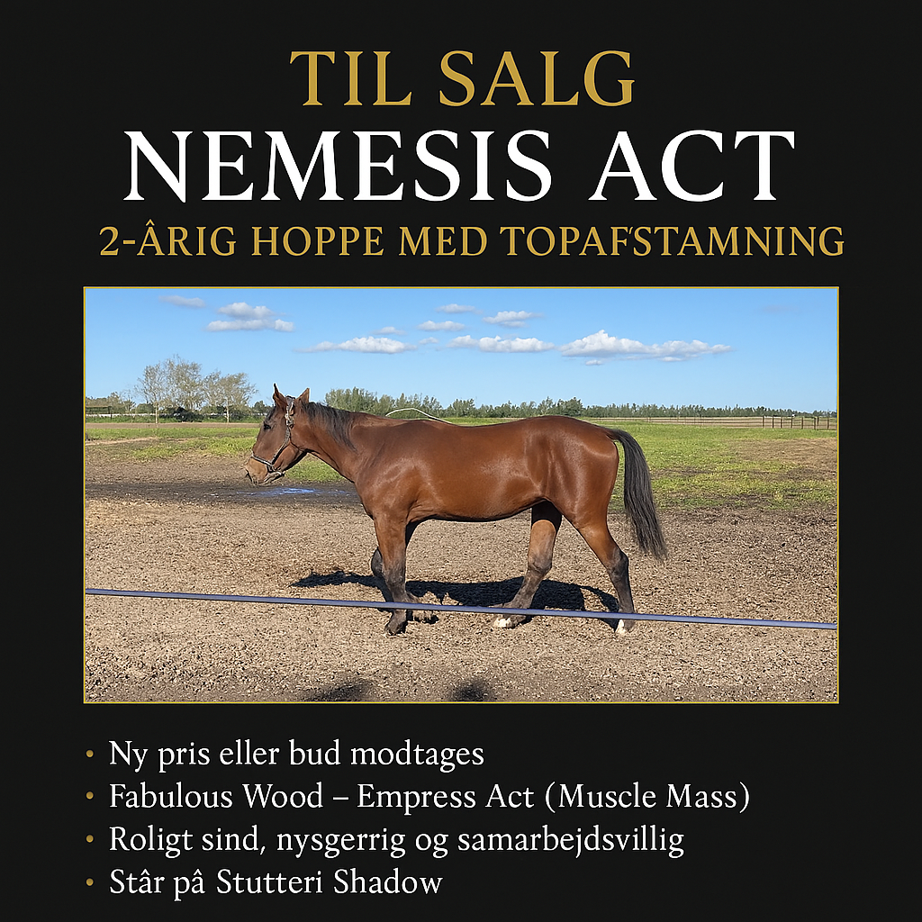 Copilot 20260223 213306