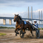 Aftale på plads: DTS/Charlottenlund integreres i Vision Øresund Copilot_20260313_212150-800x600