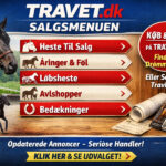 Salgshest i aktion på Lunden – Kalenita starter i dag Copilot_20260613_224519-800x600