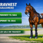 To salg på to dage – salgsmenuen er tømt for heste Copilot_20260801_173726-800x600