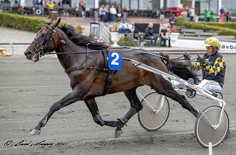 DEFENDER GRIF S2 9446