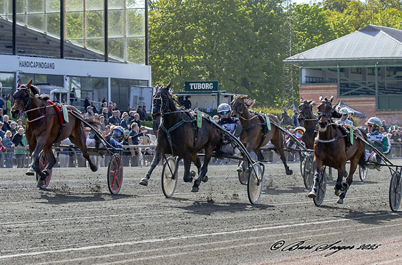 DELICIOUS GAR MGL4863