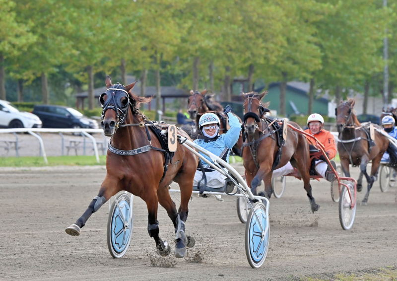 DIAMOND IS ROUGH DSC 9387