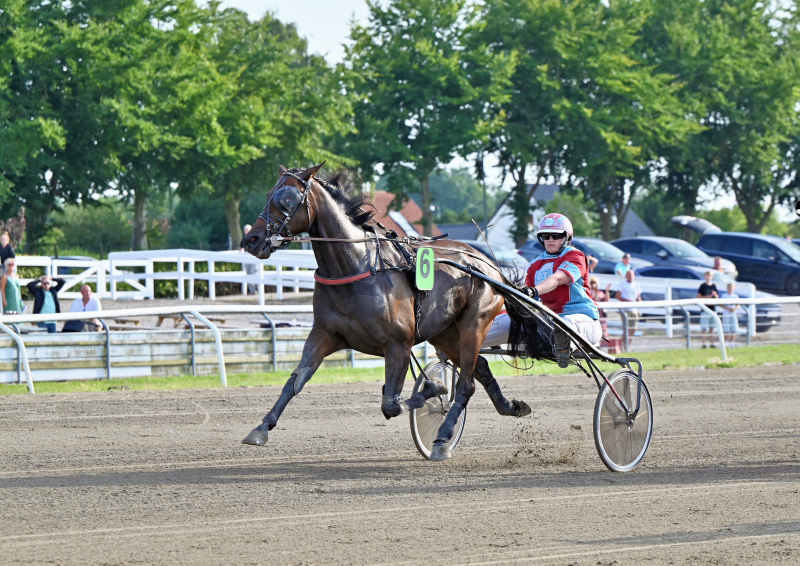 DREAM HASTRUP DSC 1501