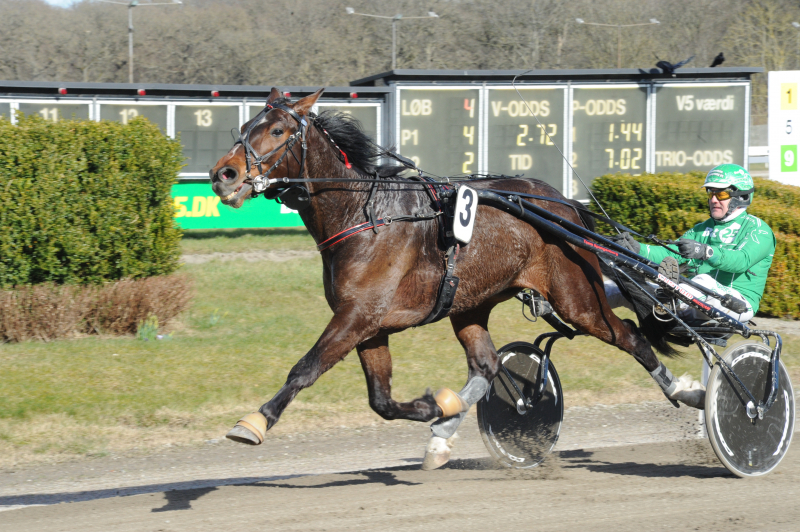 Nimrod Greenwood – med 916 startpoint udbydes DSC_0417-1