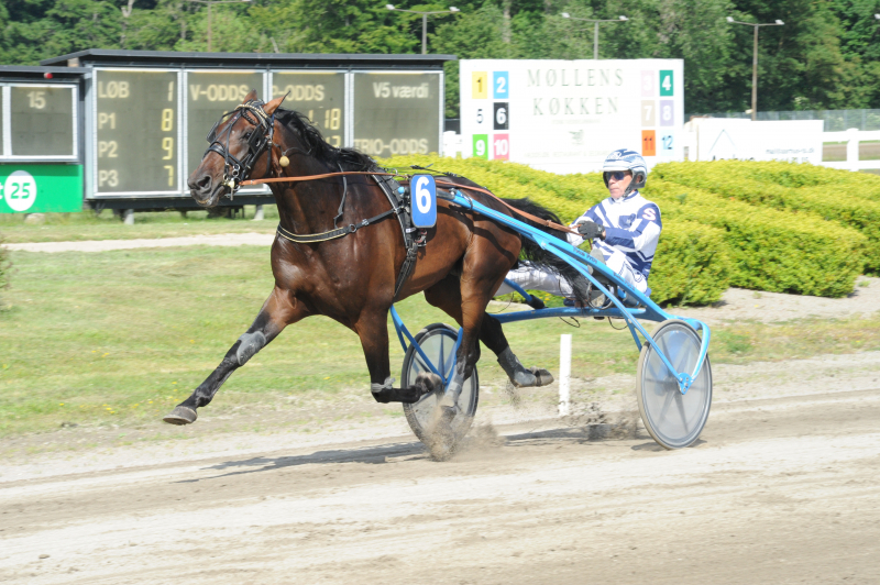 Jydsk Væddeløbsbane - Sådan gik det Kalles Krisbe Notz