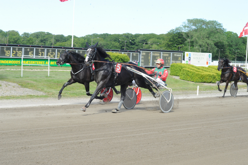 Kort nyt Kohkahycumest