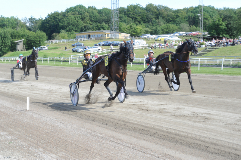 Sådan gik det i Aarhus DSC_3386