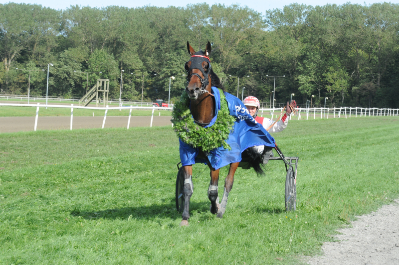 Jydsk 3-årings Grand Prix 2025 til Labour Spring DSC_3959