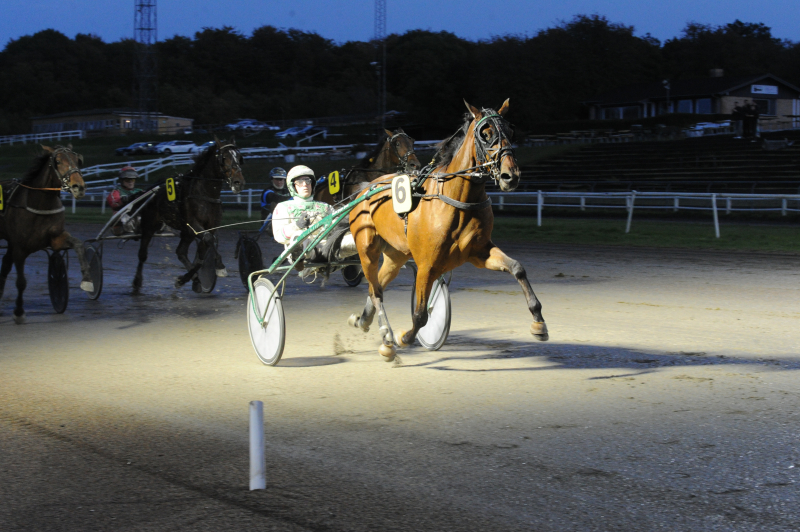 Sådan gik det på Jydsk Væddeløbsbane Ludo