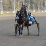 Donovan Face overlegen i Aarhus DSC_6584