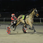 Kort nyt fra ind- og udland DSC_6694