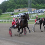 Startlister til Jydsk 4‑års Grand Prix og Jydsk 4‑års Hoppe Grand Prix Lazy Dust