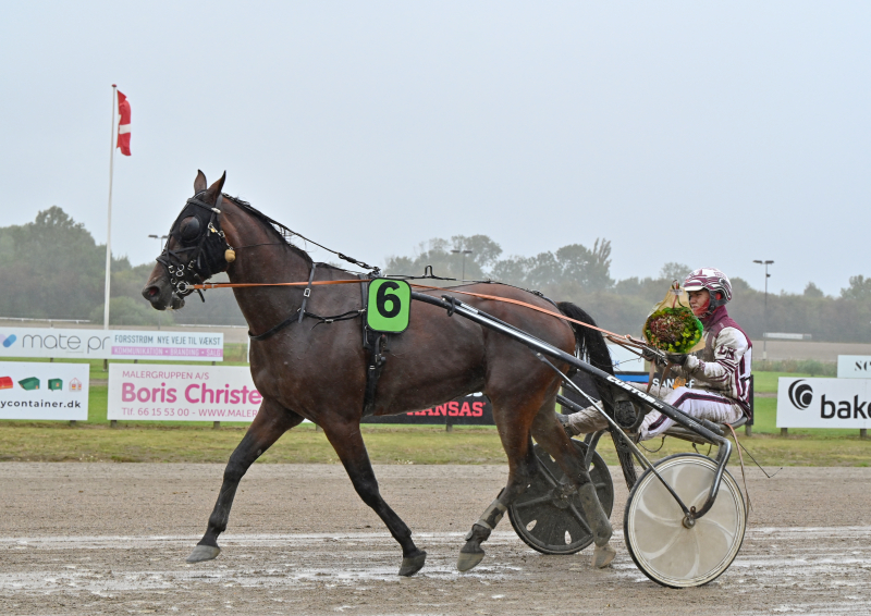 FERRARI GARDENIA DSC 8841