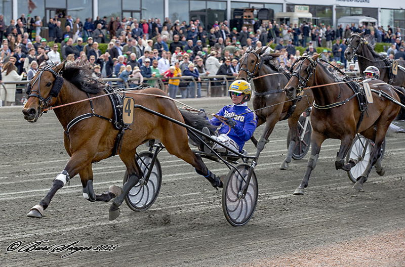 FLY EQUOS JET MGL4820