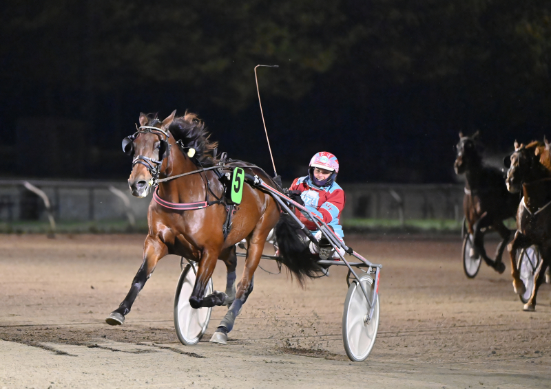 FOLLOW ME NOW DSC 2196