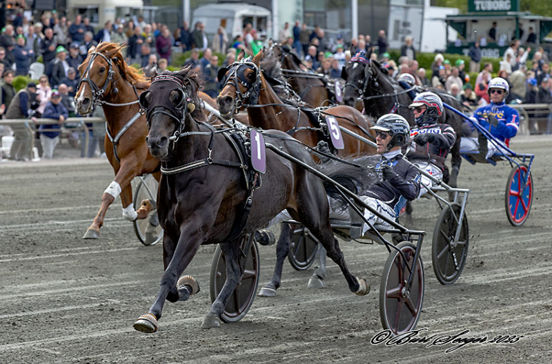 Copenhagen Cup - Four Guys Dream vandt Copenhagen Open FOUR_GUYS_DREAM_MGL4842