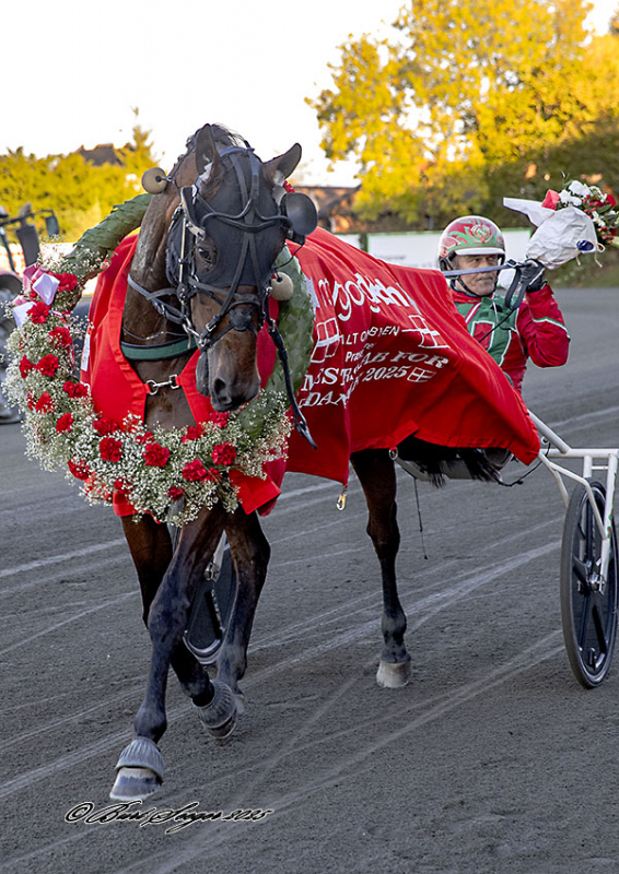 Kort nyt fra ind- og udland FRODO_CASH_D2I0689