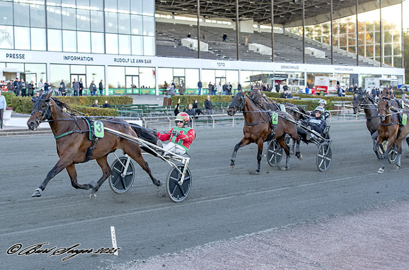 FRODO CASH S2 1458 2