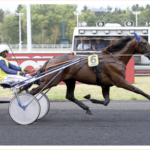 Salgsannonce – Ny pris eller bud Fabulous-Wood