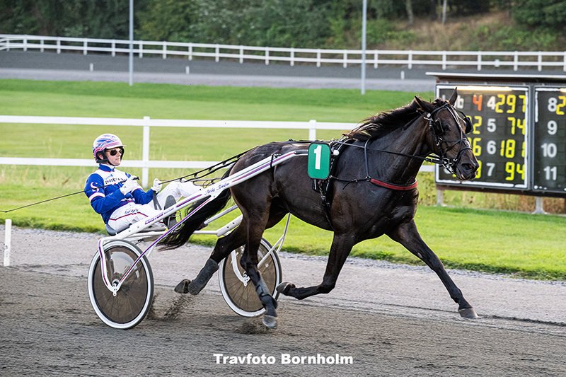 Filly med Niclas Steinlain 9 september 2025 Fotograf Torben Ager Travfoto Bornholm TKA 0741