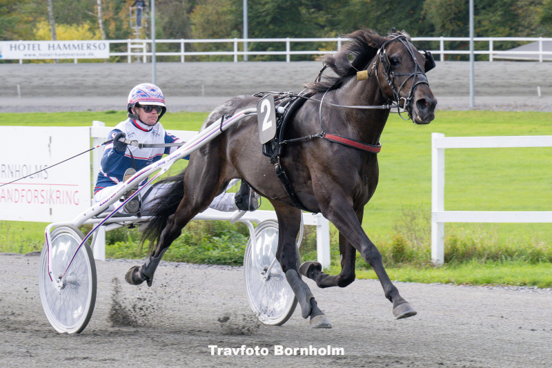 Bornholm med Halloweentrav Filly_med_Niclas_Stainlein_11_oktober_2025_Fotograf_Torben_Ager_Travfoto_Bornholm_TKA_3245