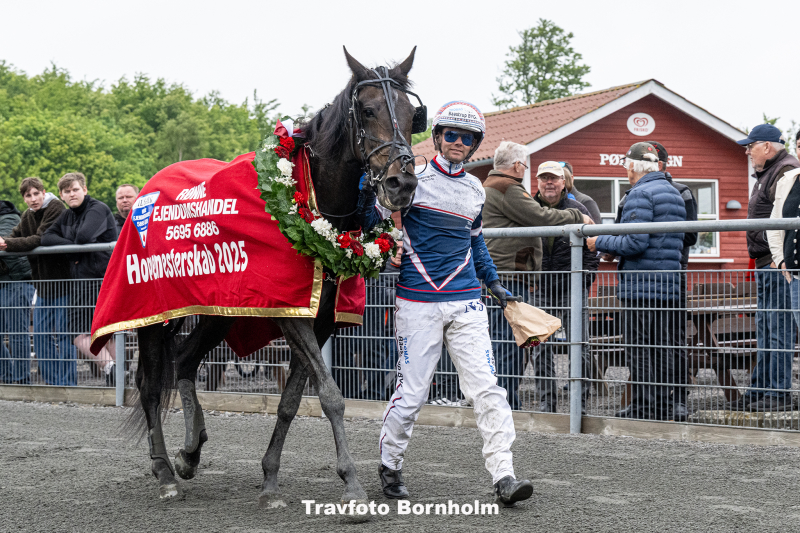 Filly med Niclas Steinlain 30 maj 2025 Fotograf Torben Ager Travfoto Bornholm TKA 0247