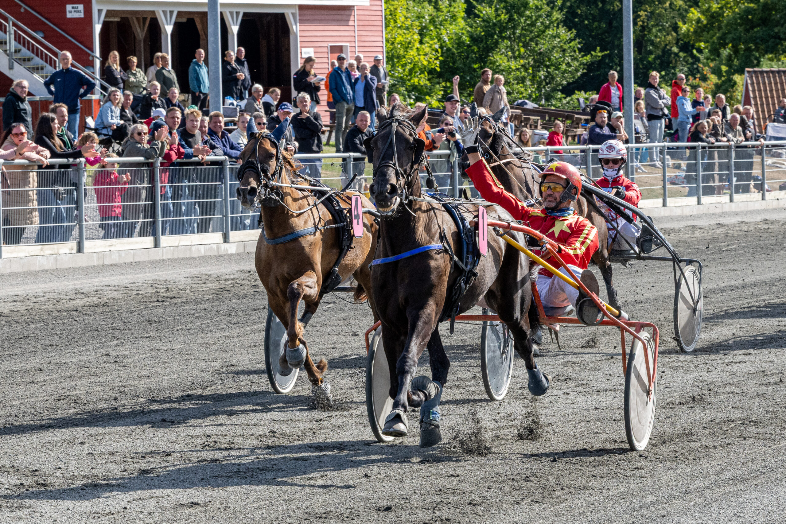 First Osiris med Michael Skovmose 23 august 2025 Fotograf Torben Ager Travfoto Bornholm TKA 9925 scaled