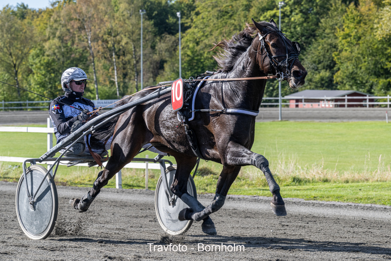 Fossa med Victor Rosleff 5 oktober 2024 Fotograf Torben Ager Travfoto Bornholm TKA 0910 1