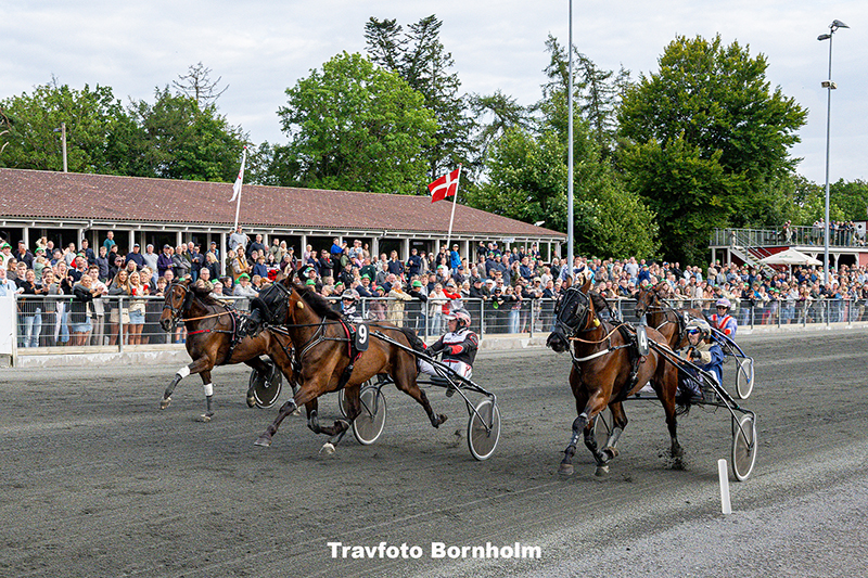 Froens Hjortshoej med Niels Kristian Hansen 16 juli 2025 Fotograf Torben Ager Travfoto Bornholm TKA 5969