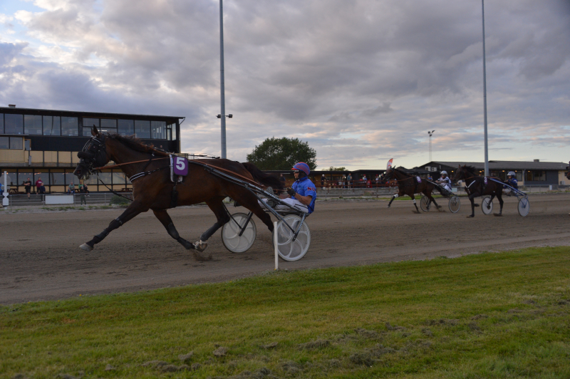 Frozen Design 250821