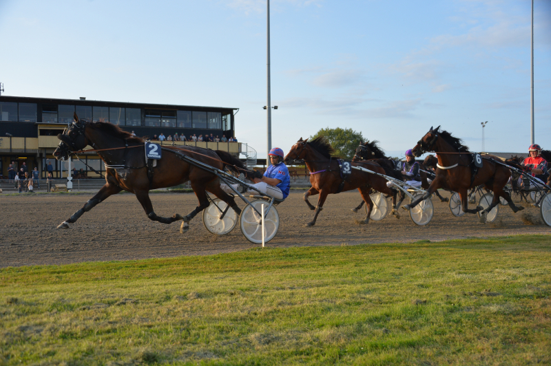 Frozen Design 250904