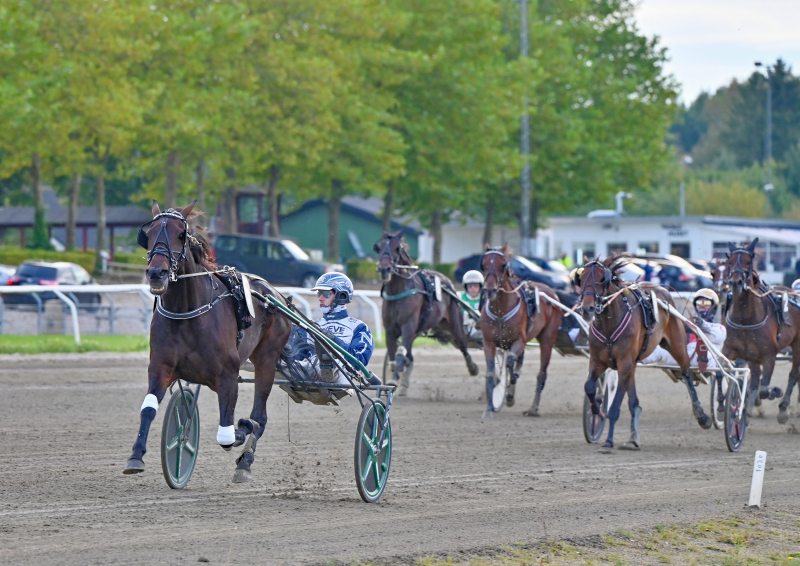 GABI KYVSG RD DSC 9295