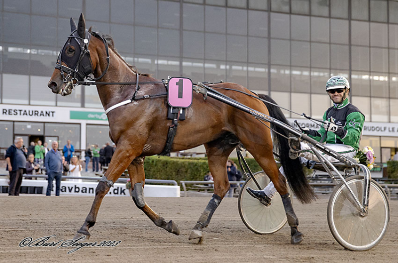 Salgsmenuen - Dagens udvalg GAUGUIN_D2I0182