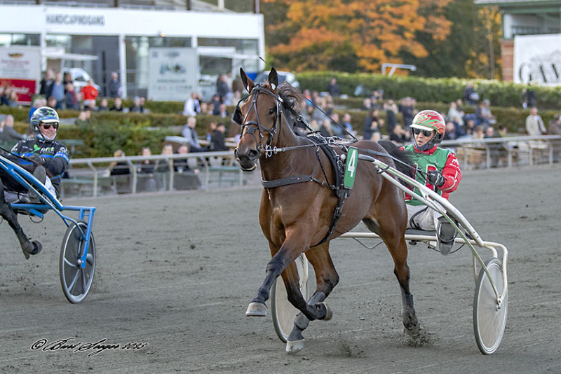 Sådan starter danskerne på Halmstad GET_IN_YOUR_PJ_S_S2_1072-1