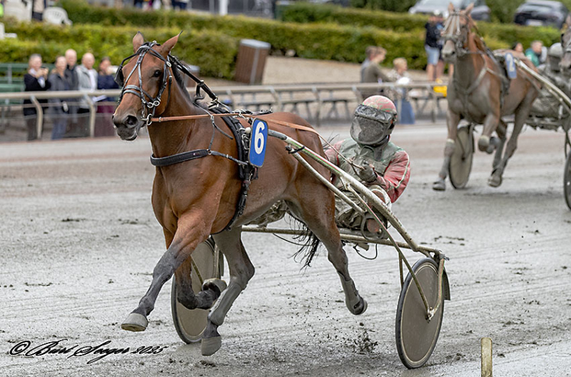 GET IN YOUR PJ S S2 6613