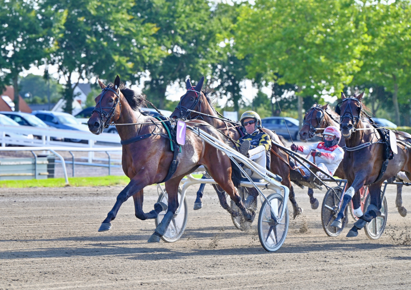 GLORIUS RAIN DSC 3872