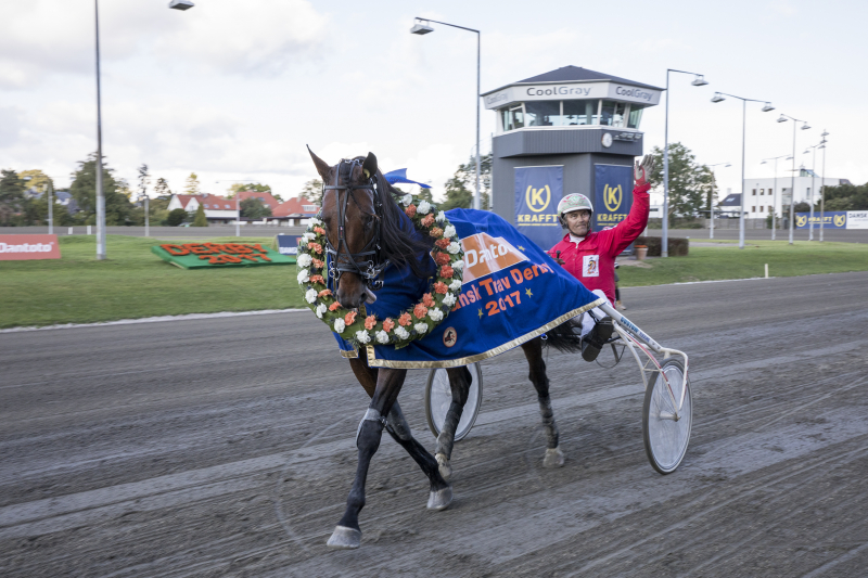 GP4A6422 Juul Bvlgari Peak